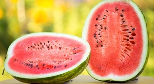 the effectiveness of the watermelon diet in terms of weight loss