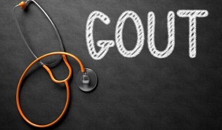 what is needed to correct the diet due to gout